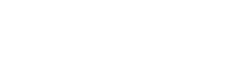 Consumer Litigation Associates